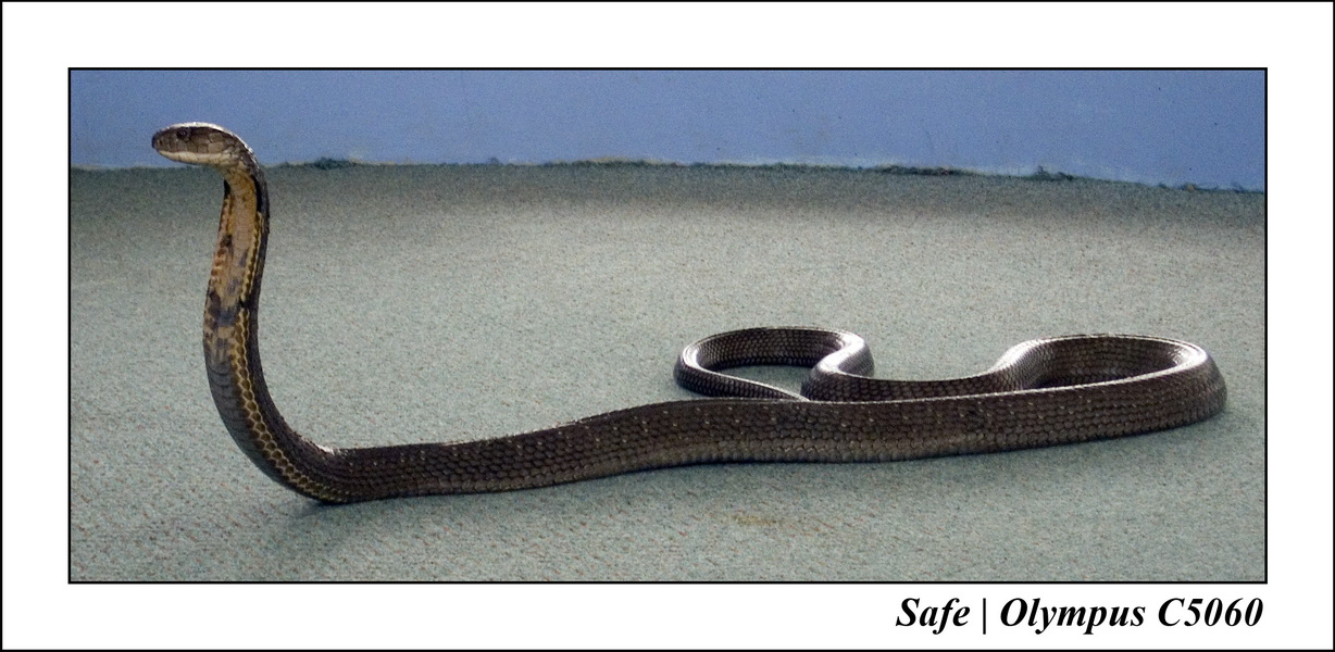 2007 - 12 - Vacances Phuket - 08